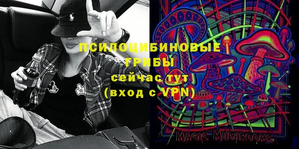 мдпв Заводоуковск
