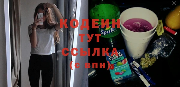 мдпв Заводоуковск