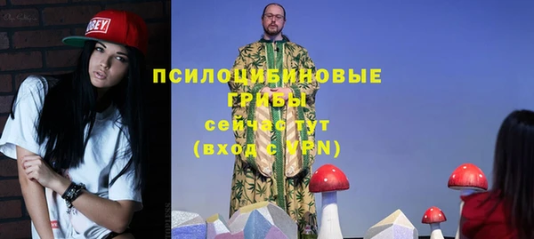 мдпв Заводоуковск