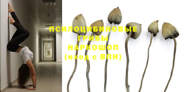 мдпв Заводоуковск